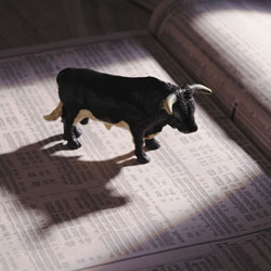 bull market